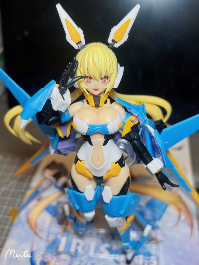 Vlocker's Fiore Iris