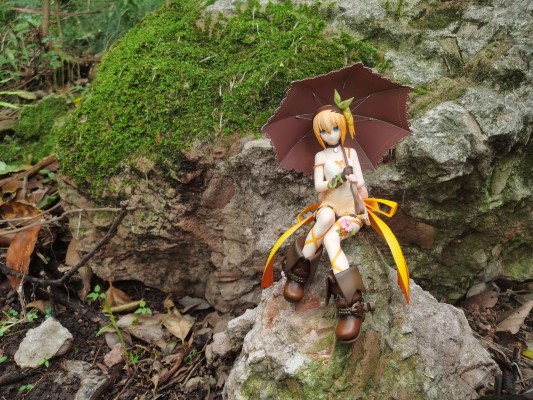 情热传说  艾多娜