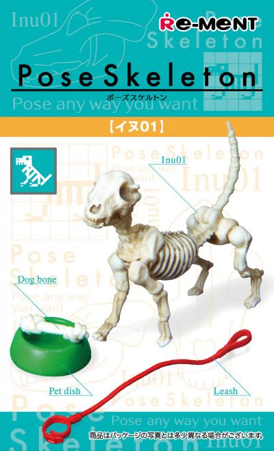 姿势骨架 雪橇犬01