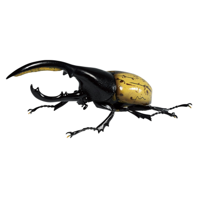 一番赏昆虫 世界昆虫博物馆 C奖 长戟大兜虫