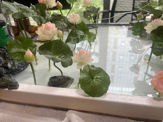 汉服少女 映水芙蓉