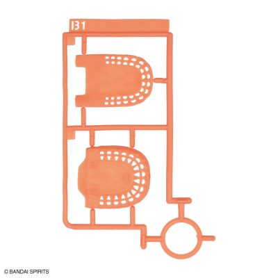 自然研究室  噬人鲨 ​​​​