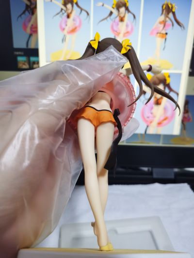 沙滩女王 IS〈无限斯特拉托斯〉 凰铃音 泳装