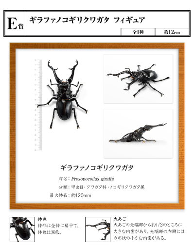 一番赏昆虫 世界昆虫博物馆 E奖 长颈鹿锯锹