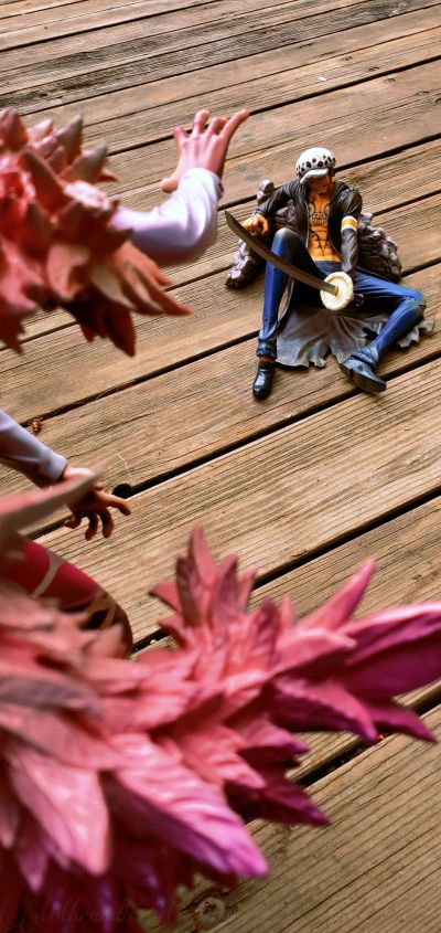 Portrait Of Pirates Limited Edition 海贼王 トラファルガー・ロー Ver. VS