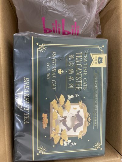 DLC系列 茶会猫 狸花猫