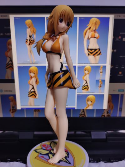 IS〈无限斯特拉托斯〉 夏洛特・迪诺亚 泳装版