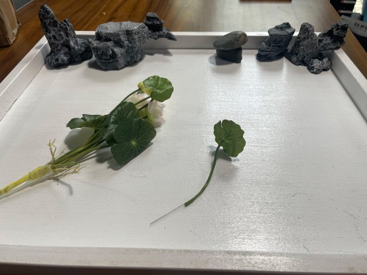 汉服少女 映水芙蓉