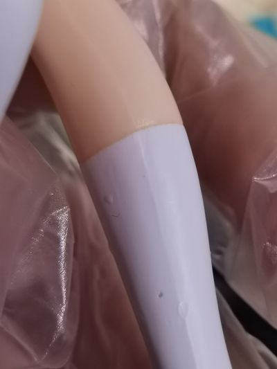 伪恋   “小野寺小咲” 