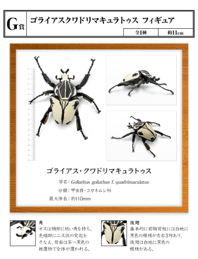 一番赏昆虫 世界昆虫博物馆 G奖 歌莉亚大王花金龟