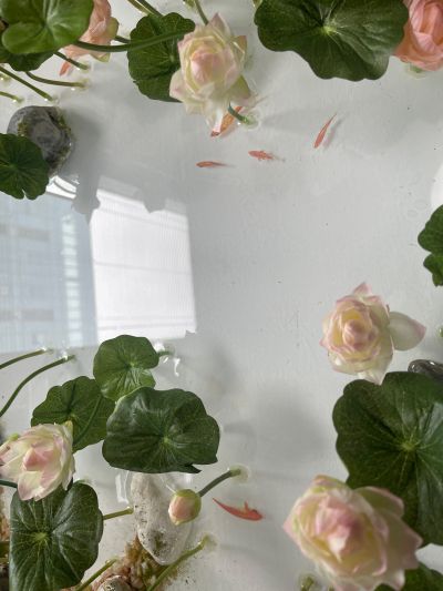 汉服少女 映水芙蓉