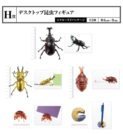 一番赏昆虫 世界昆虫博物馆 H奖 桌面昆虫