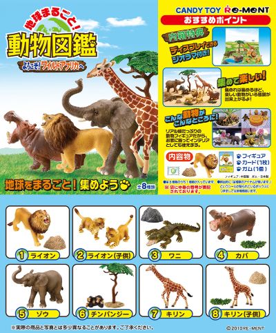 全球! 动物图鉴 欢迎光临! 狂野非洲