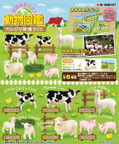 整个地球 动物图鉴 悠闲牧场生活