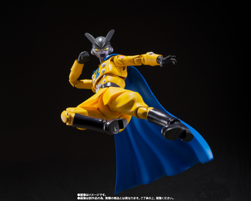 S.H.Figuarts  伽玛2号