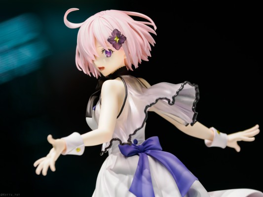 命运-冠位指定 盾兵-玛修·基列莱特 under the same sky