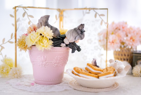 DLC系列 茶会猫 狸花猫