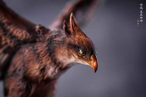 侍魂：晓 娜可露露