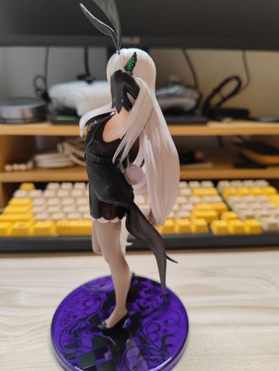 Coreful Re：从零开始的异世界生活 第二季 艾姬多娜 ~兔女郎~