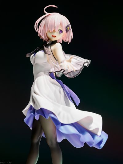 命运-冠位指定 盾兵-玛修·基列莱特 under the same sky