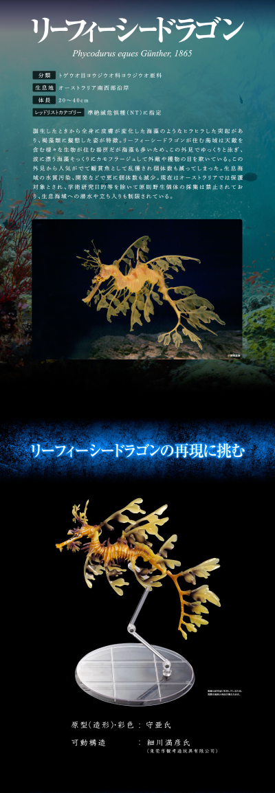 高级生物大图鉴  叶海龙