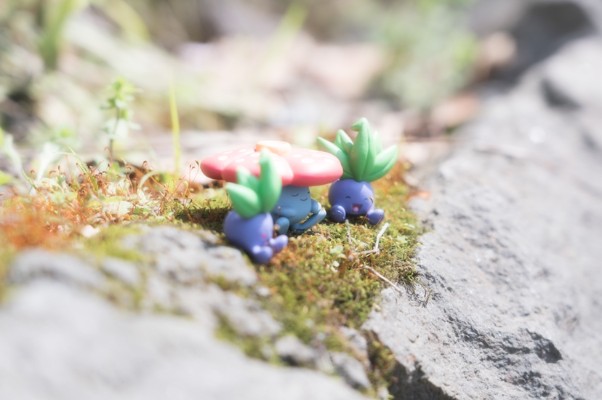 精灵宝可梦 集集乐！叠叠乐！宝可梦森林3 ～迷途的前方～