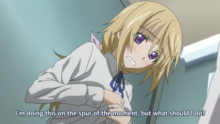 IS〈无限斯特拉托斯〉 夏洛特・迪诺亚 泳装版