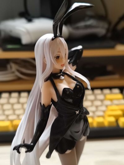 Coreful Re：从零开始的异世界生活 第二季 艾姬多娜 ~兔女郎~