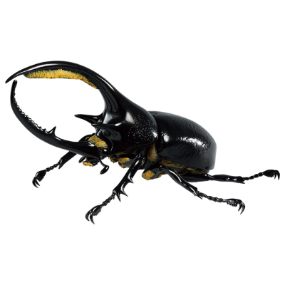 一番赏昆虫 世界昆虫博物馆 A奖 海神大兜虫