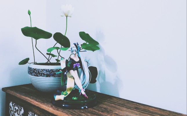 压泡面 命运-冠位指定 降临者-琰女