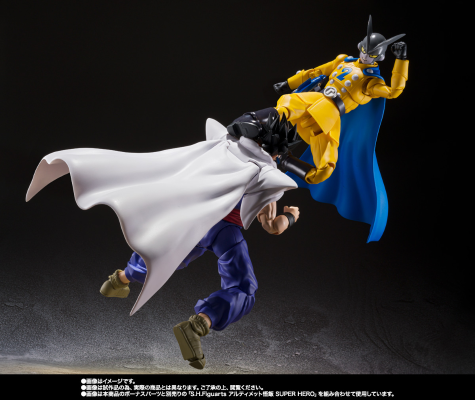 S.H.Figuarts  伽玛2号