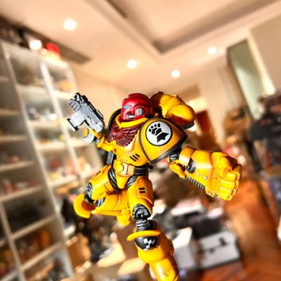 战锤40000 星际战士 帝国之拳仲裁者 军士赛维拓兄弟