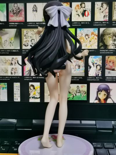 其中1个是妹妹！ 鹤真心乃枝 泳装版