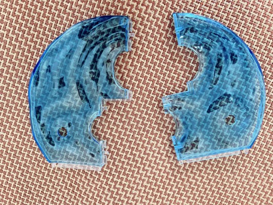 碧蓝航线 扎拉 泳池边的偶遇