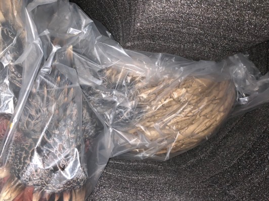 怪物猎人15周年 怪物猎人:世界 灭尽龙 高分辨率精细头雕