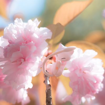 精灵宝可梦 集集乐！叠叠乐！宝可梦森林3 ～迷途的前方～