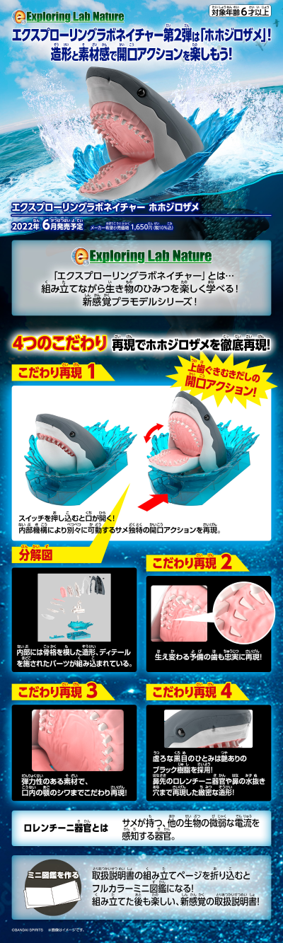 自然研究室  噬人鲨 ​​​​