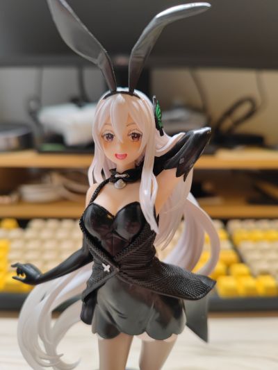 Coreful Re：从零开始的异世界生活 第二季 艾姬多娜 ~兔女郎~