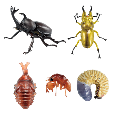 一番赏昆虫 世界昆虫博物馆 H奖 桌面昆虫