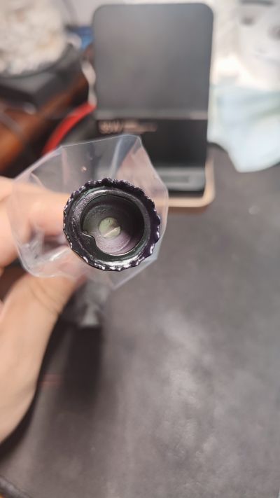 红灯街的兔女郎 桃子