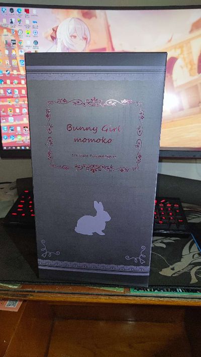 红灯街的兔女郎 桃子