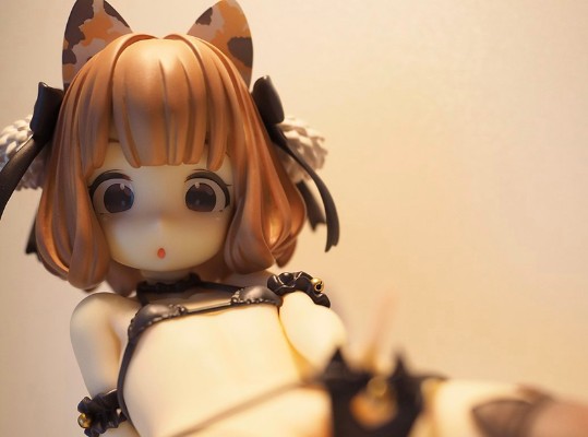 猫咖啡 ♡ 内裤