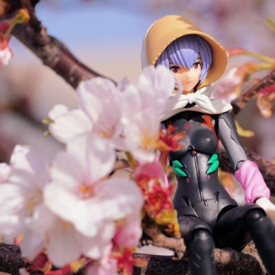 转轮科技 EE系列 EV-022 新世纪福音战士新剧场版：终 绫波零 第3村版