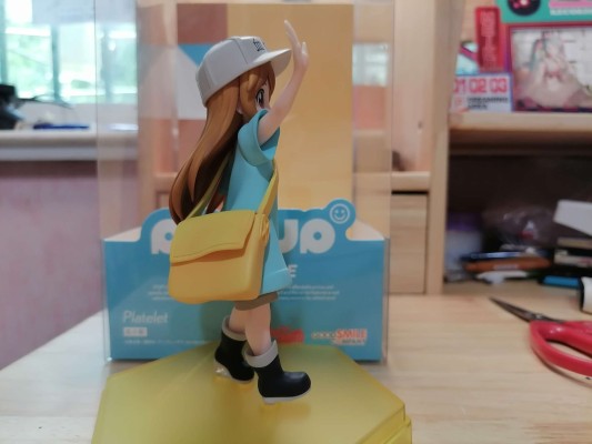 POP UP PARADE 工作细胞 血小板