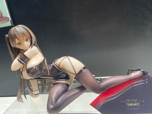 碧蓝航线 瑞鹤 飙速之鹤