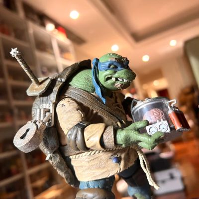 环球怪兽 x  忍者神龟 终极达芬奇（钟楼怪人）