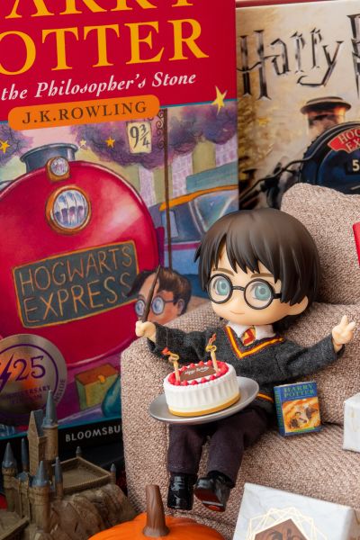黏土人×DOLL 哈利波特 哈利波特