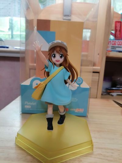 POP UP PARADE 工作细胞 血小板