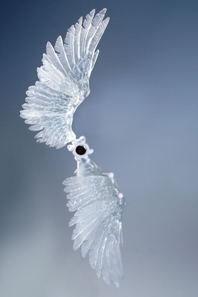 无限翼系列 六孔连接环