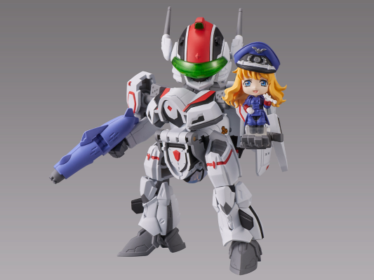 TINY SESSION 超时空要塞F VF-25F 弥赛亚女武神(有人专用) 与雪莉